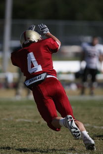 开云app下载安装-法甲球队防守战术调整后定位球防守成功率提升分析，法国防守